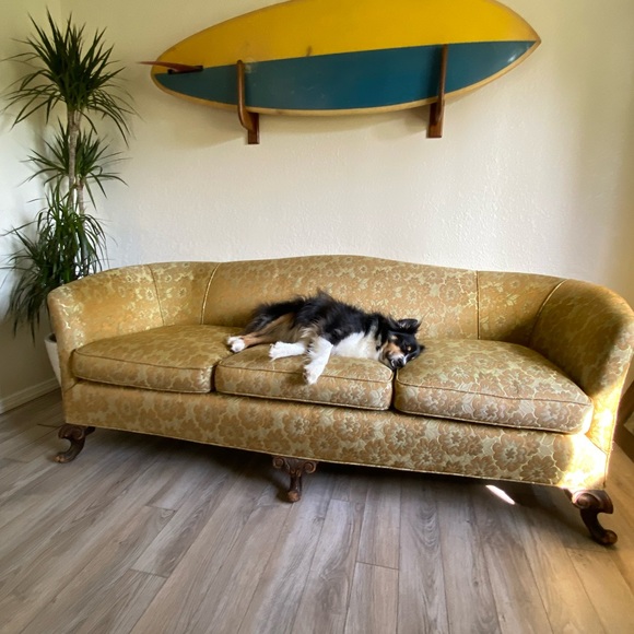 Meet your Posher, Casey & Sam - Picture 2 of 2